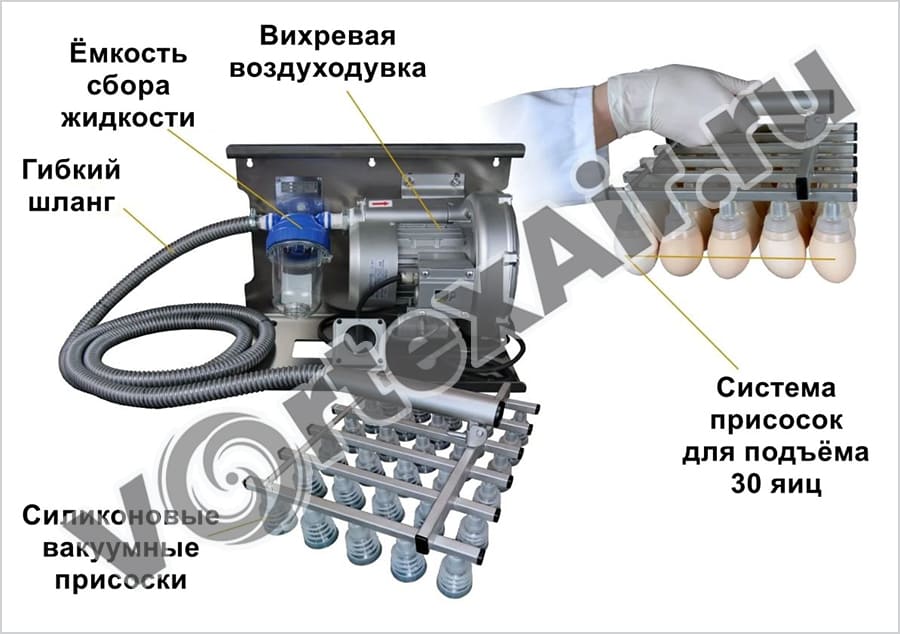 Вихревые воздуходувки для подъема и транспортировки яиц 