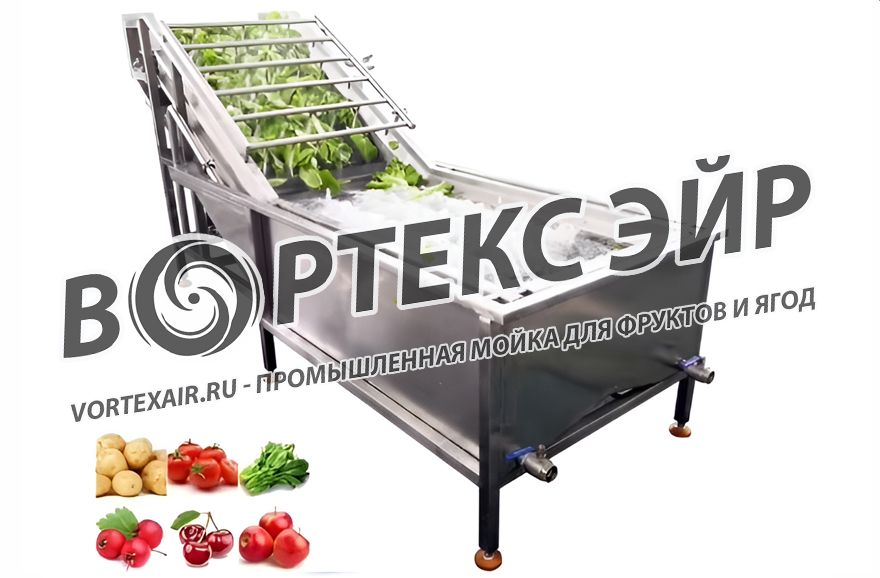 Купить промышленную мойку для ягод и фруктов