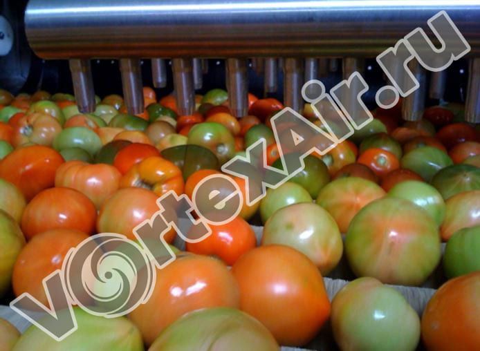 Промышленные воздуходувки для сушки овощей и фруктов, воздушные ножи, комплектующие