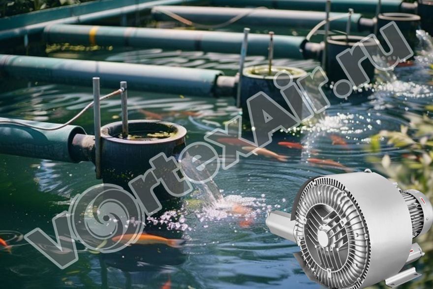 Купить воздуходувку для аэрации