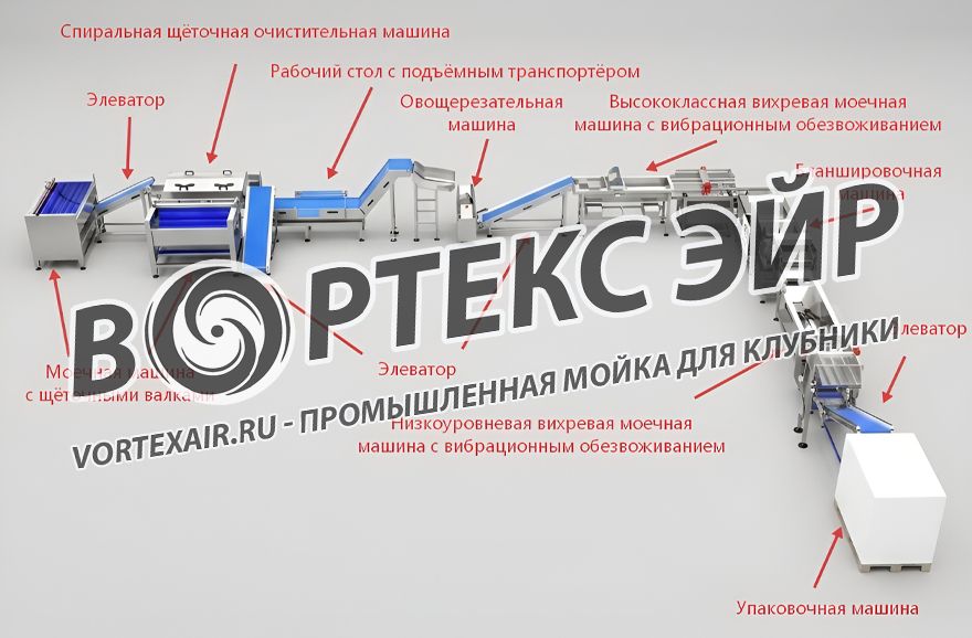 Купить мойку для клубники — промышленные машины и линии мойки ягод