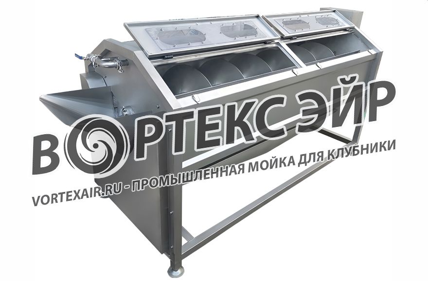Купить мойку для клубники — промышленные машины и линии мойки ягод