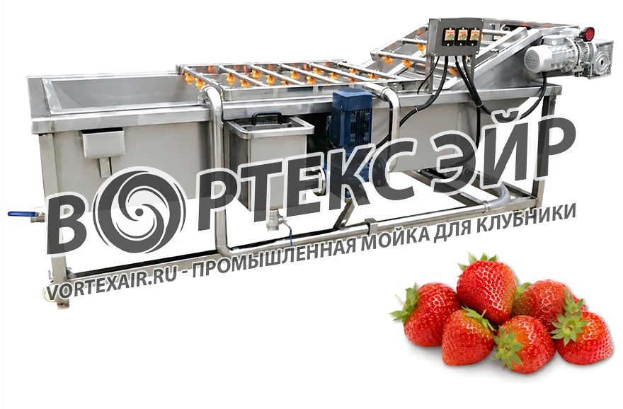 Купить мойку для клубники — промышленные машины и линии мойки ягод