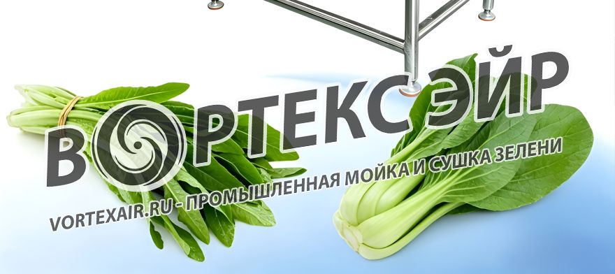 Промышленная мойка и сушка зелени. Разработка и поставка оборудования