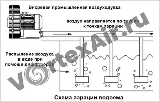 Вихревые воздуходувки для содержания и разведения рыбы