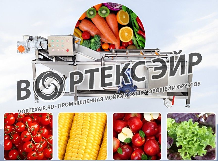 Промышленная мойка и сушка овощей и фруктов. Купить оборудование