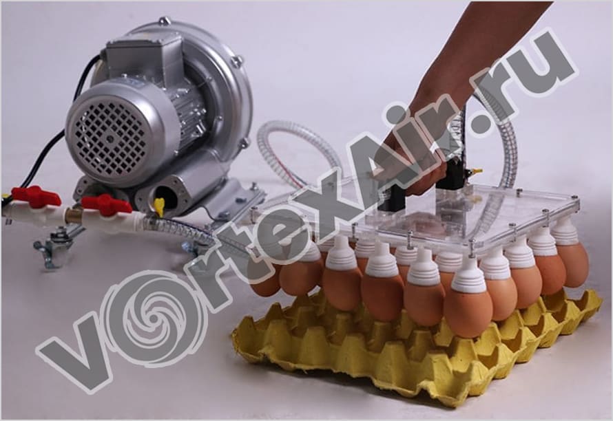 Вихревые воздуходувки для подъема и транспортировки яиц 