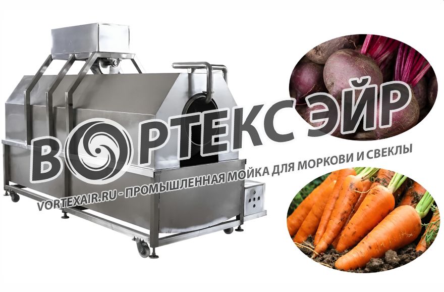 Купить машину для мойки свеклы и моркови