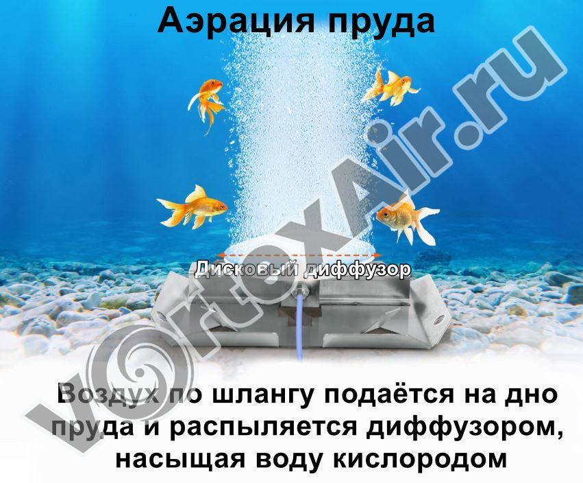 Воздуходувки для аэрации пруда — насыщение прудов кислородом летом и зимой