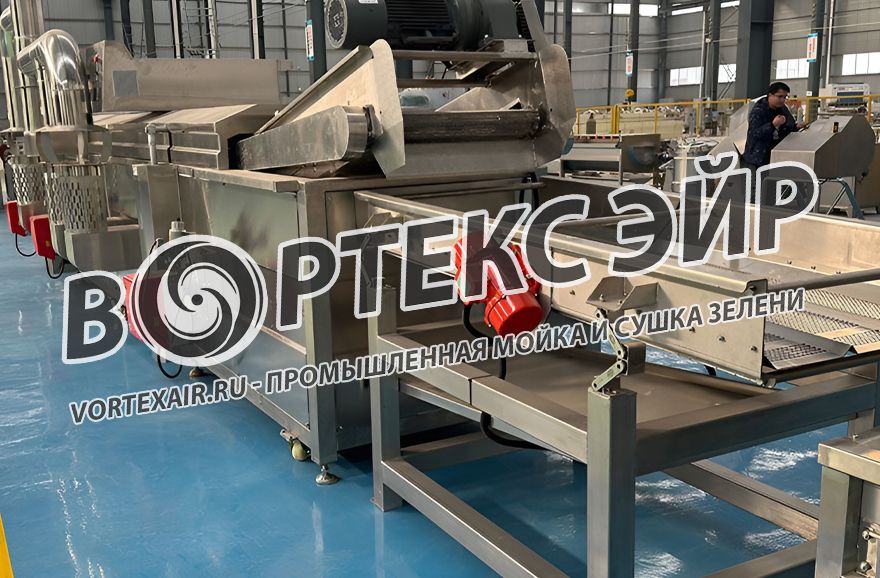 Промышленная мойка и сушка зелени. Разработка и поставка оборудования