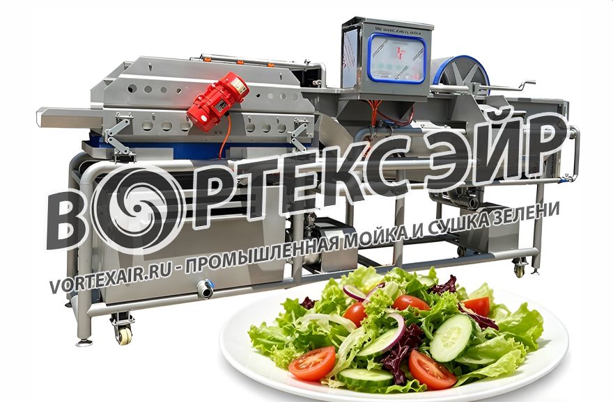 Промышленная мойка и сушка зелени. Разработка и поставка оборудования Промышленная мойка и сушка зелени. Разработка и поставка оборудования