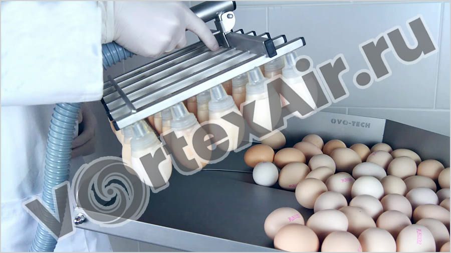 Вихревые воздуходувки для подъема и транспортировки яиц 