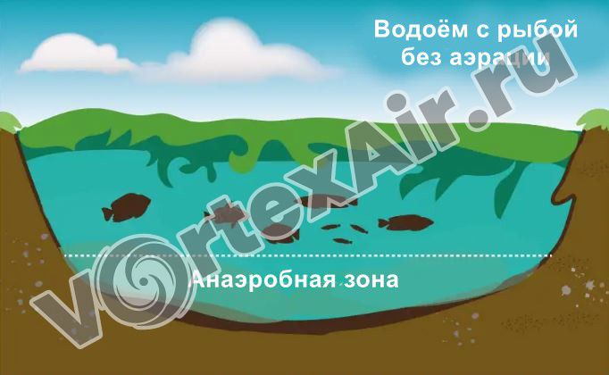 Аэрация рыбных ферм вихревыми воздуходувками. Полная комплектация оборудования