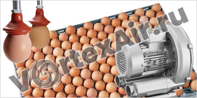 Вихревые воздуходувки для подъема и транспортировки яиц 
