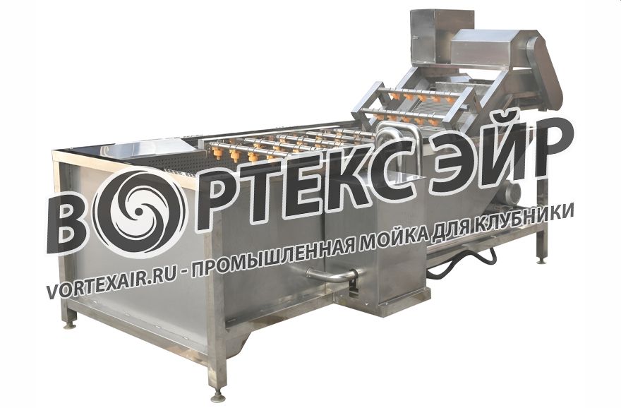 Купить мойку для клубники — промышленные машины и линии мойки ягод